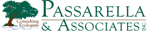 passarella